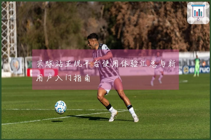 买球站正规平台使用体验汇总与新用户入门指南