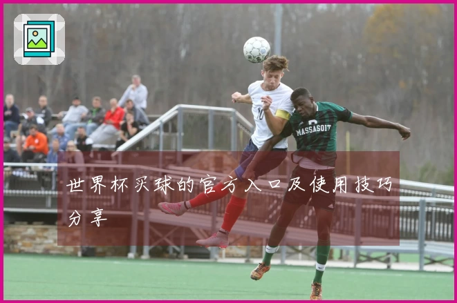 世界杯买球的官方入口及使用技巧分享