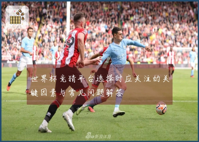 世界杯竞猜平台选择时应关注的关键因素与常见问题解答