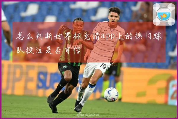 怎么判断世界杯竞猜app上的热门球队投注是否可信