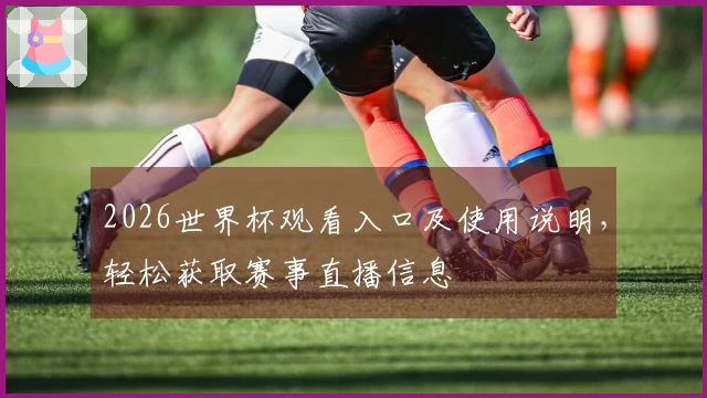 2026世界杯观看入口及使用说明,轻松获取赛事直播信息