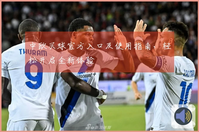 中欧买球官方入口及使用指南，轻松开启全新体验