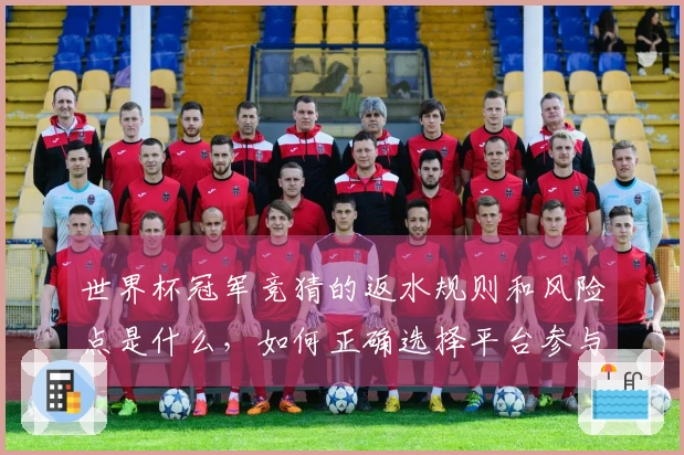 世界杯冠军竞猜的返水规则和风险点是什么，如何正确选择平台参与投注