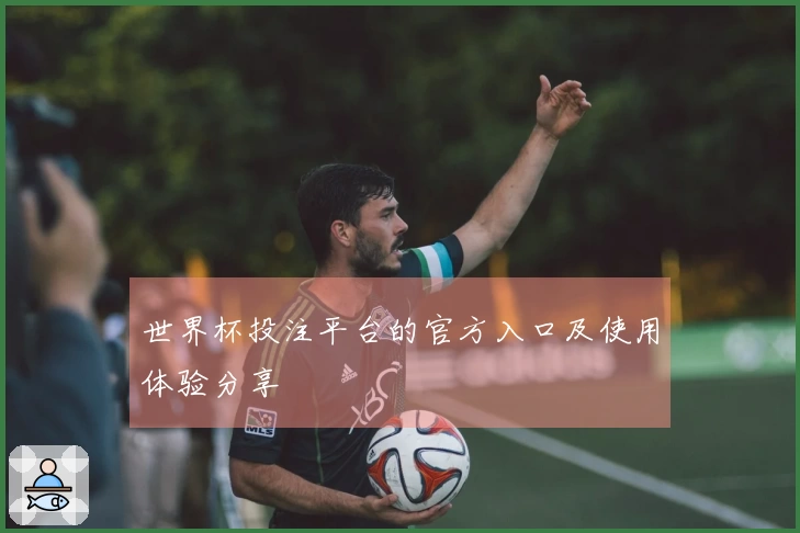 世界杯投注平台的官方入口及使用体验分享