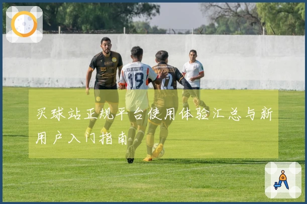 买球站正规平台使用体验汇总与新用户入门指南