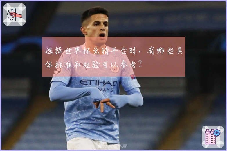 选择世界杯竞猜平台时,有哪些具体标准和经验可以参考?
