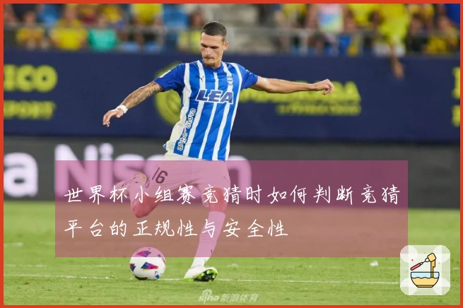 世界杯小组赛竞猜时如何判断竞猜平台的正规性与安全性