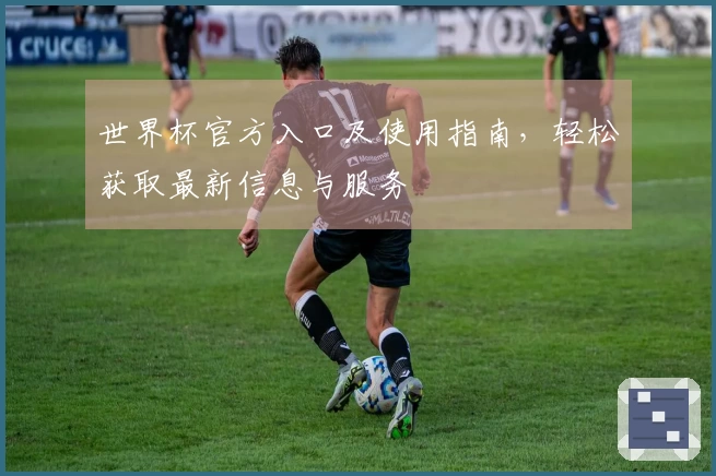 世界杯官方入口及使用指南，轻松获取最新信息与服务