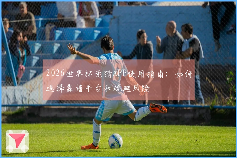 2026世界杯竞猜APP使用指南：如何选择靠谱平台和规避风险