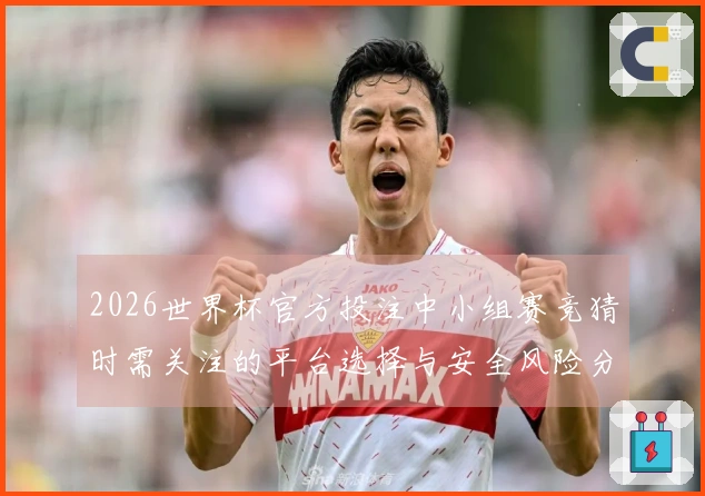 2026世界杯官方投注中小组赛竞猜时需关注的平台选择与安全风险分析