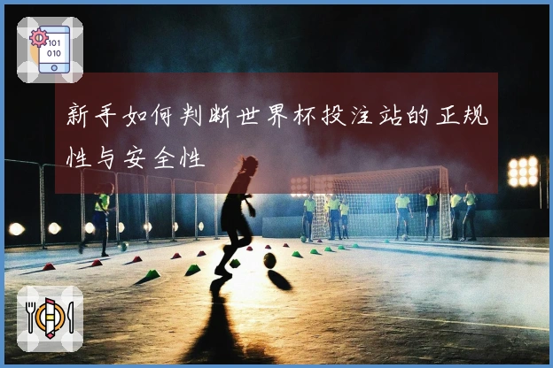 新手如何判断世界杯投注站的正规性与安全性