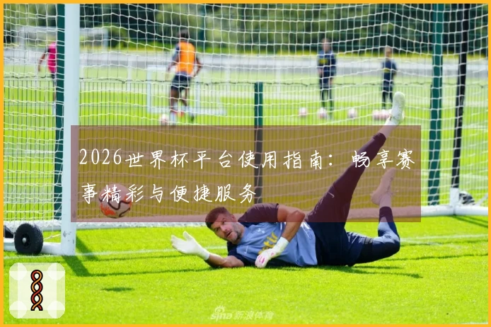 2026世界杯平台使用指南：畅享赛事精彩与便捷服务