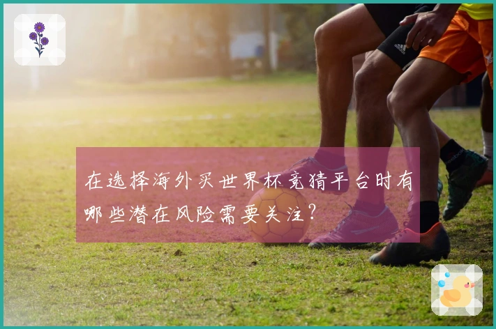 在选择海外买世界杯竞猜平台时有哪些潜在风险需要关注？