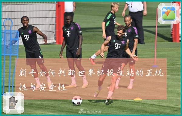 新手如何判断世界杯投注站的正规性与安全性