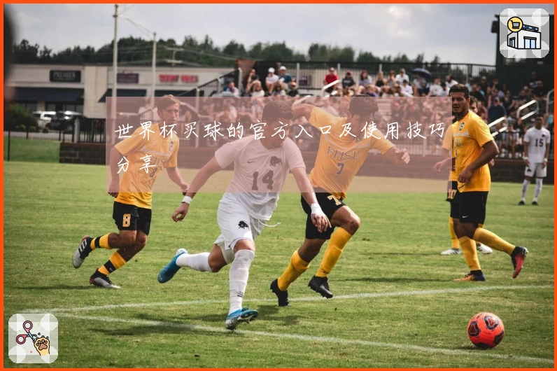 世界杯买球的官方入口及使用技巧分享