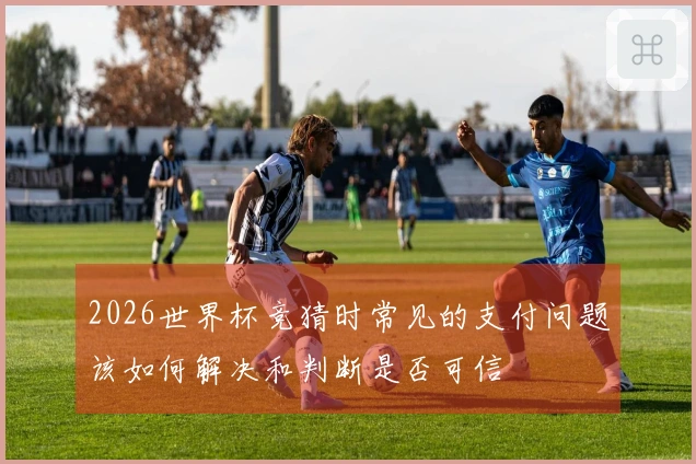 2026世界杯竞猜时常见的支付问题该如何解决和判断是否可信
