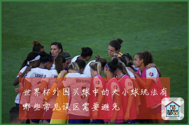 世界杯外围买球中的大小球玩法有哪些常见误区需要避免