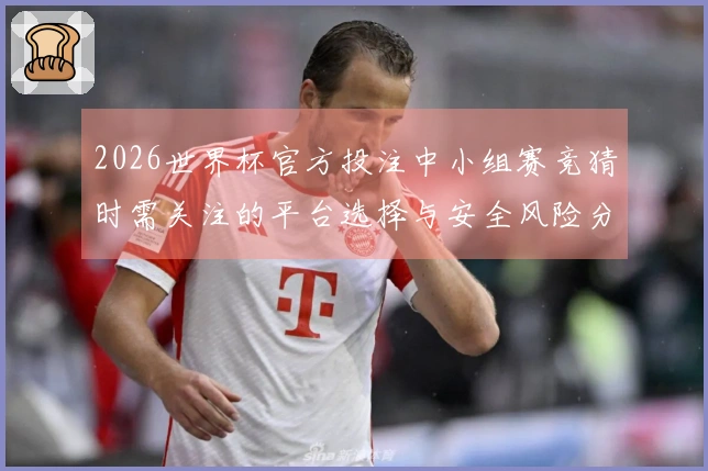 2026世界杯官方投注中小组赛竞猜时需关注的平台选择与安全风险分析