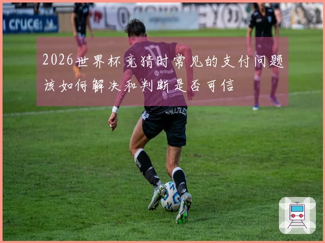 2026世界杯竞猜时常见的支付问题该如何解决和判断是否可信