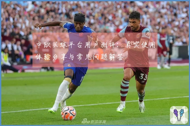 中欧买球平台用户测评:真实使用体验分享与常见问题解答
