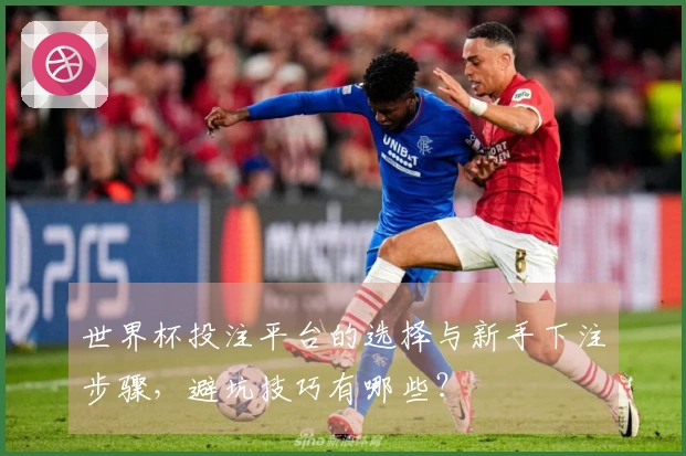 世界杯投注平台的选择与新手下注步骤,避坑技巧有哪些?