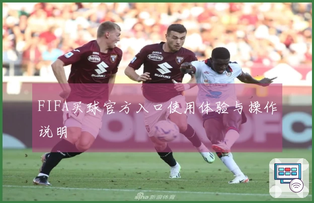 FIFA买球官方入口使用体验与操作说明