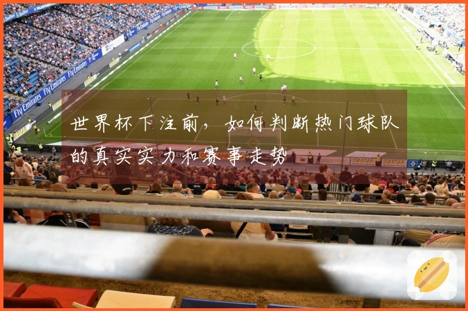 世界杯下注前，如何判断热门球队的真实实力和赛事走势