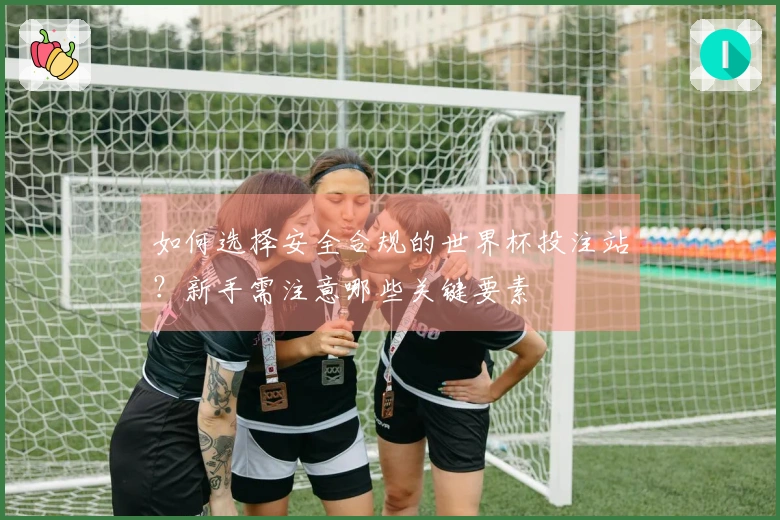 如何选择安全合规的世界杯投注站？新手需注意哪些关键要素