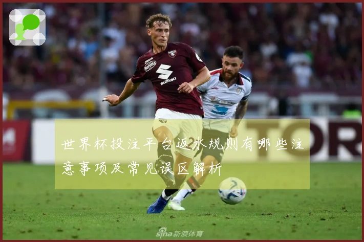 世界杯投注平台返水规则有哪些注意事项及常见误区解析