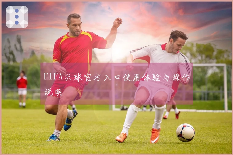 FIFA买球官方入口使用体验与操作说明