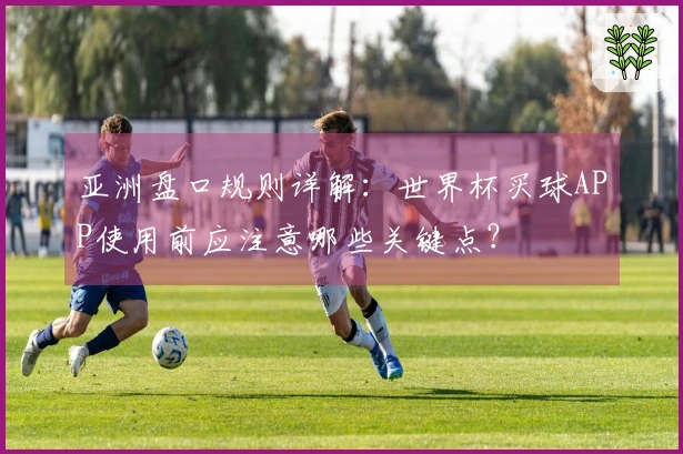 亚洲盘口规则详解：世界杯买球APP使用前应注意哪些关键点？
